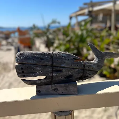 Prázdninový dům Il Nido